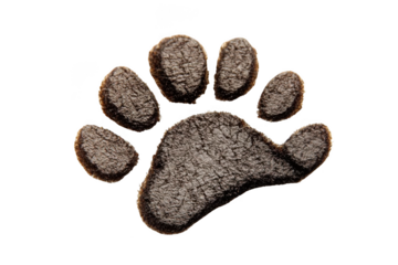 Paw Print Shows Animal Track with Wildlife Theme on Black Background