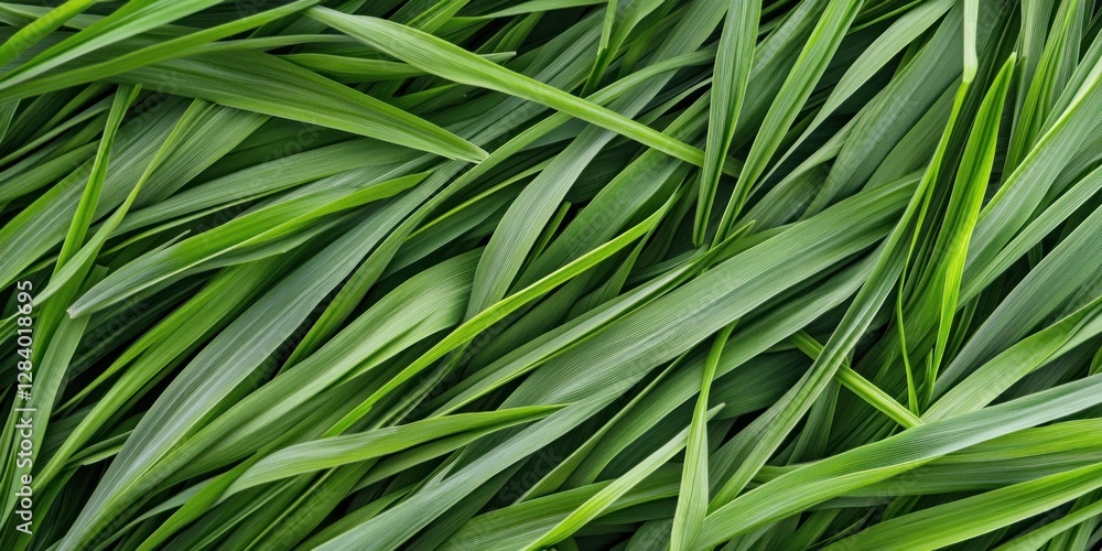 Poster this lush green grass lawn features a rich texture and vibrant colors creating an appealing backgrou