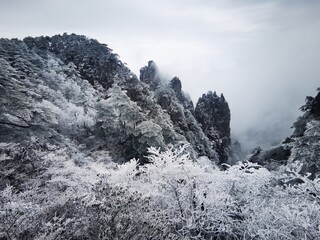 snow covered mountains