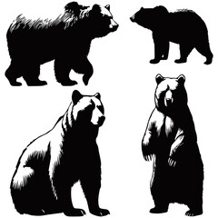 A black and white silhouette illustration of four bears in different poses. The detailed artwork captures their fur texture and movement, ideal for wildlife, nature, and outdoor-themed designs