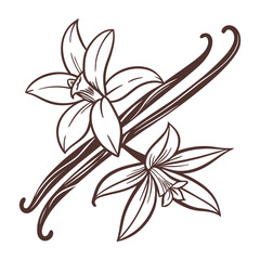 Vanilla Bloom vector iconic flower line art illustration design