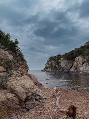 Aerial drone view of the beautiful coastline of Porquerolles Island
