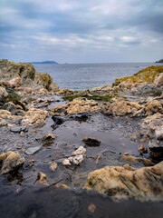 Magnificent coast of the island of Porquerolles in the south of France 