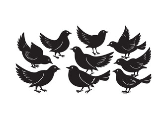 Bird Silhouettes Collection, black silhouettes of wild forest birds. Winter wild animal