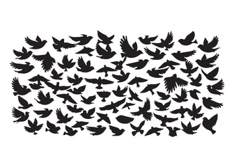 Bird Silhouettes Collection, black silhouettes of wild forest birds. Winter wild animal