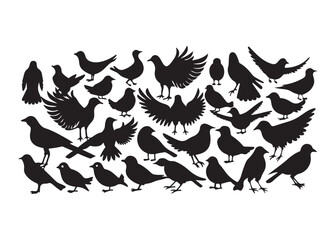Bird Silhouettes Collection, black silhouettes of wild forest birds. Winter wild animal