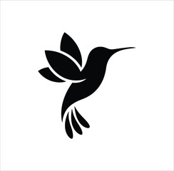 vector illustration of an hummingbird
