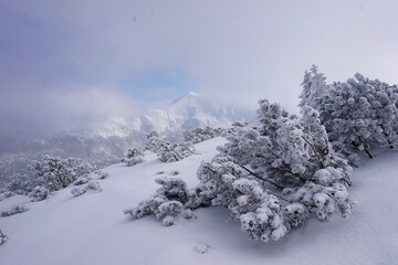 winter landscape mountains in coulds © Natalia