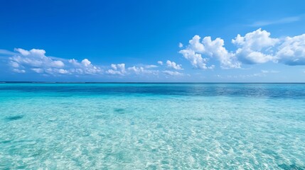 Professional Surface Blue View Insights for Modern Applications