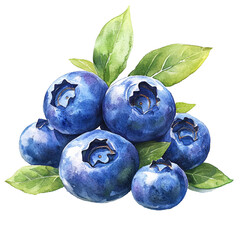 Obraz premium Blueberries with Leaves.