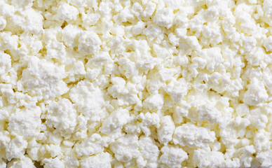 cottage cheese as background, top view