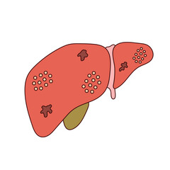hepatitis disease illustration