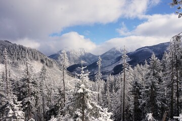 snow covered mountains