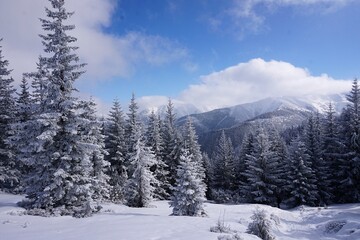 Winter landscape mountains