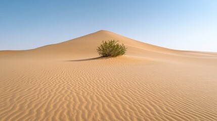 Desert dune landscape, single plant, clear sky, travel poster