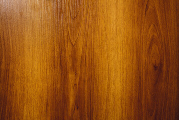 Obraz premium tree bark texture