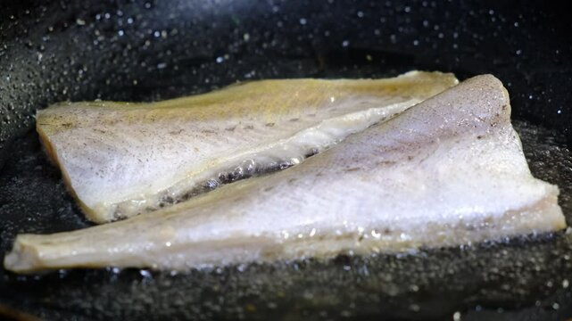 Cooking Indoors pan grilled seasoned Cod fillets on Stovetop, iron cast pan, close up boiled oil, deep fried. White meat