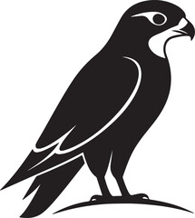 Falcon bird silhouette, black and white silhouette, vector and illustration
