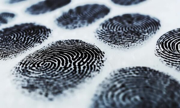 Close-up view of multiple fingerprints on a white surface, illustrating forensic evidence collection