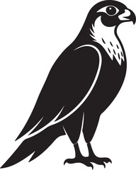 Falcon bird silhouette, black and white silhouette, vector and illustration