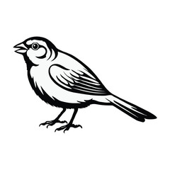 Vector illustration of a bird