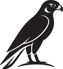 Falcon bird silhouette, black and white silhouette, vector and illustration