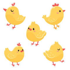 A set of cute chickens. Vector illustration in flat style