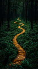 CBAM Carbon concept. Winding wooden path through a dark, lush forest.
