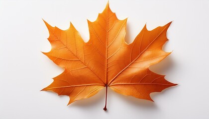 Obraz premium Autumn's Embrace: A close-up capture of a vibrant maple leaf, displaying intricate textures and radiant autumnal hues, against a soft backdrop, capturing the essence of fall.