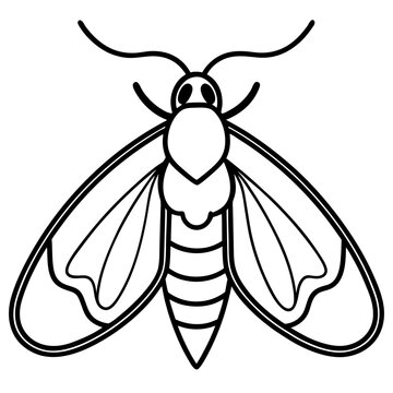 black and white moth outline clip art preview