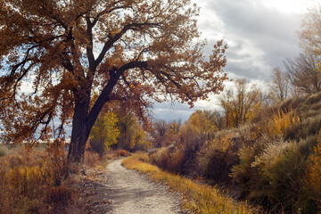 A dirt trail winds through an autumn landscape in Riverside Park, Aztec, New Mexico, with a large...
