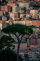 Cityscape of Naples, Italy. Buildings, Architecture.