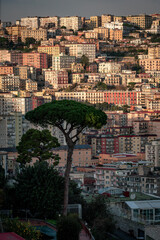 Fototapeta premium Cityscape of Naples, Italy. Buildings, Architecture.