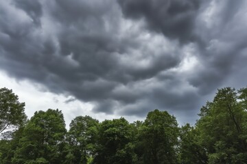 Obraz premium Dense Canopy of Green Trees under Thick Dark Storm Clouds Creating a Dramatic and Striking Visual Effect of an Approaching or Ongoing Storm