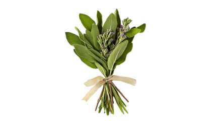 Fresh herbal bundle with sage and lavender sprigs