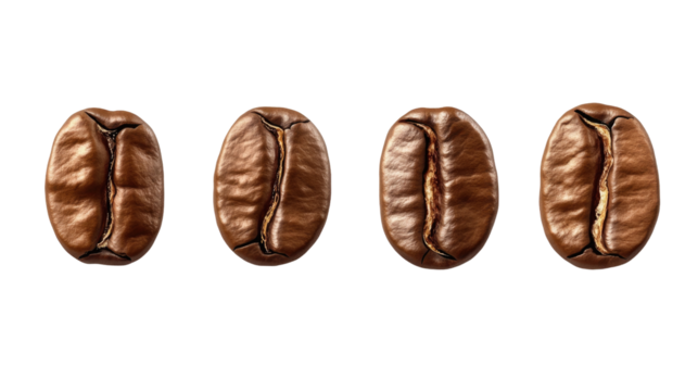 Coffee beans displayed in a row highlighting their rich texture and shape