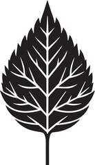 Fall Leaf silhouette vector