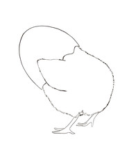 Vector illustrations of bunny and chick
