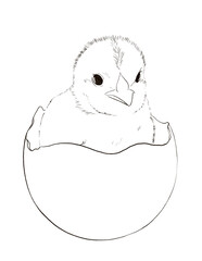 Vector illustrations of bunny and chick
