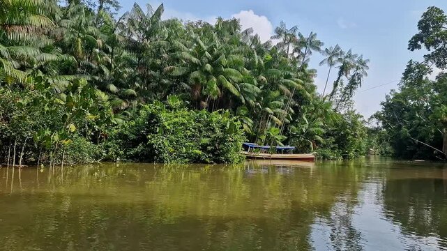 River boat tour on the Guama River at Belem do Para, a city on the north area of Brazil. Naturalistic green area by amazon forest.