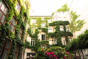 Berlin Backyards © hendrikwolter