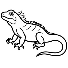 Minimal Iguana Vector