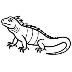 Minimal Iguana Vector