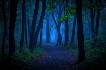 Obraz premium Enchanted Misty Forest Path Lined with Tall Trees in Twilight Glow