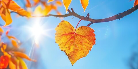 Fototapeta premium From the branch of an autumn tree, a heart-shaped leaf hangs against a fuzzy blue sky, Generative AI.