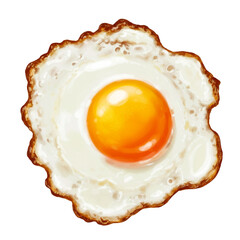 Fried Egg  with clipping path isolated on transparent background

