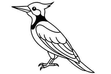 Minimalist Woodpecker Vector