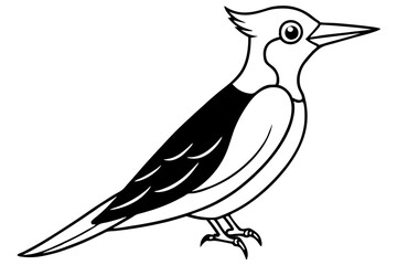 Minimalist Woodpecker Vector