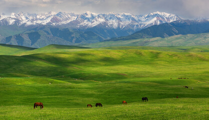 A picturesque mountain plateau in the Almaty region in southeast Kazakhstan