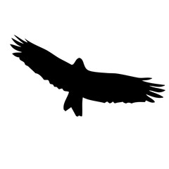 eagle silhouette vector